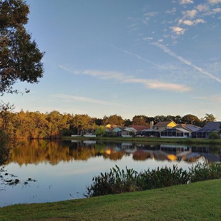 Cozy And Conveniently Located Pool Home With Free Wifi Tampa Exterior foto