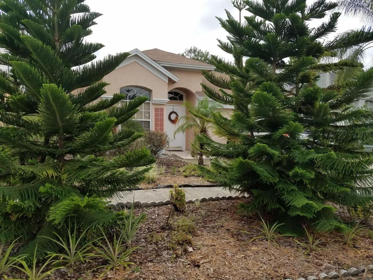 Cozy And Conveniently Located Pool Home With Free Wifi Tampa Exterior foto